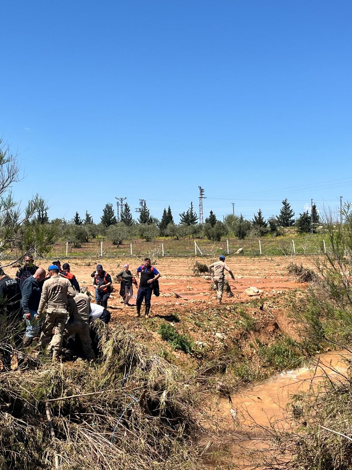 Mehmet Oğlakçı (4)