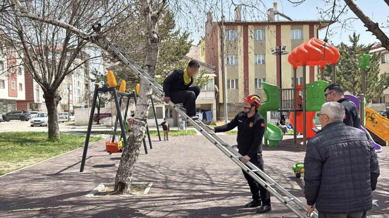 Sivas Park Top Ağaç Haberler Sondakika (5)