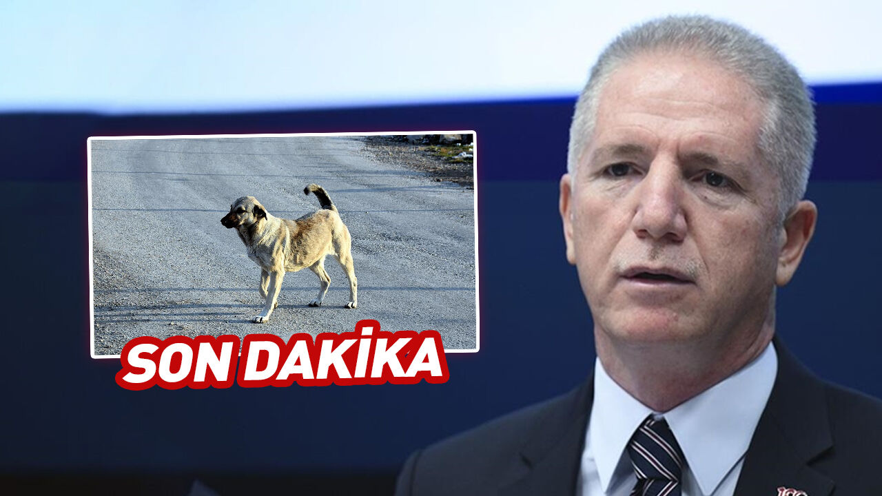 Valilikten belediyelere kritik uyarı! Derhal yerine getirin
