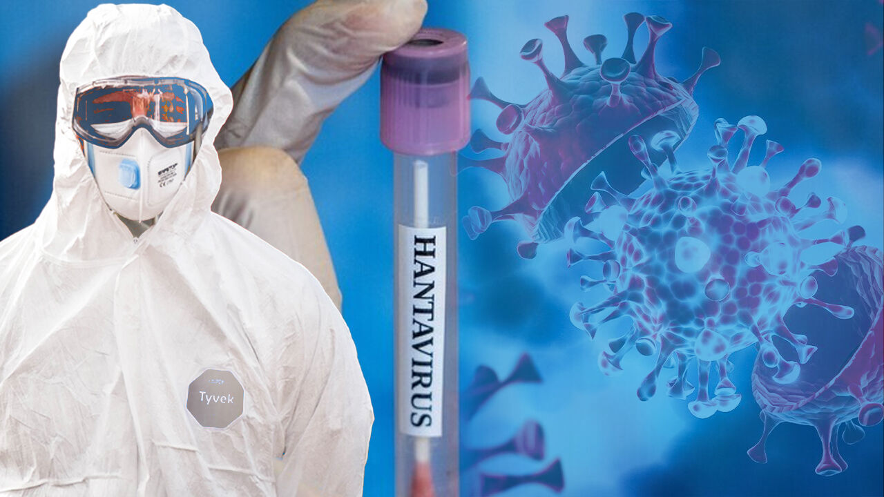 Hantavirus-5