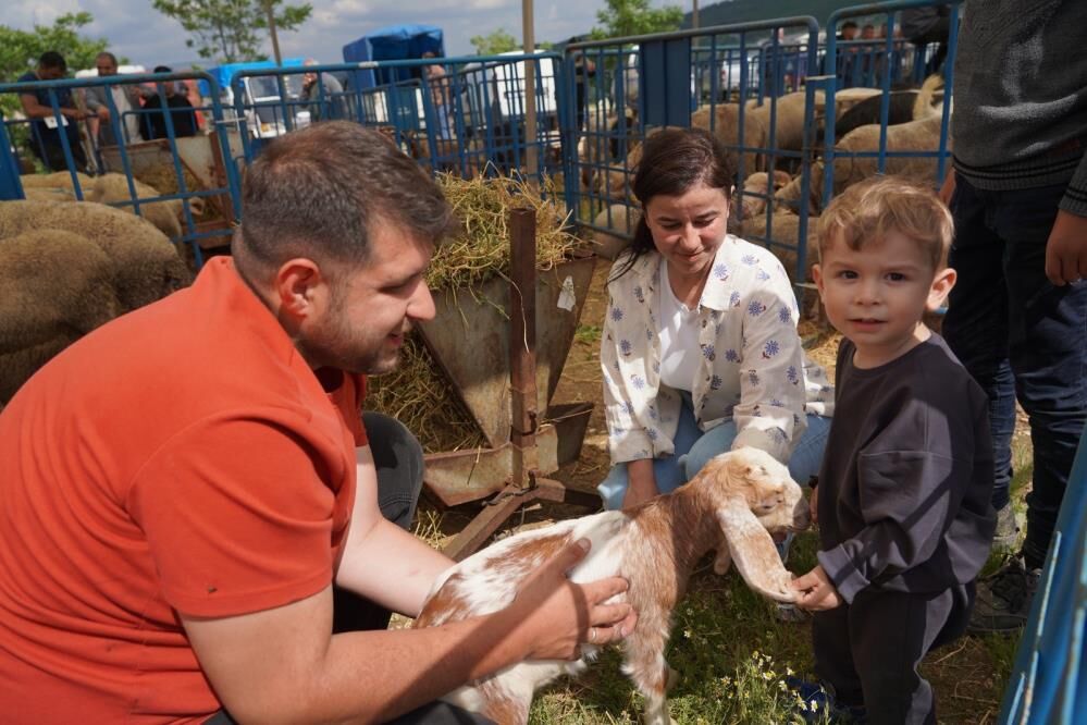 Kurbanlıklara Ultrasonlu Kontrol Bileceik Haber (3)