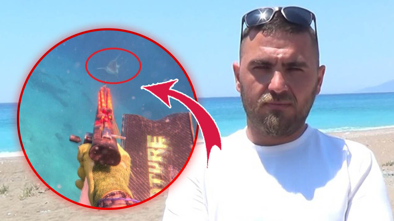 Köpek balığı ile burun buruna geldi! Hayatının şokunu yaşadı