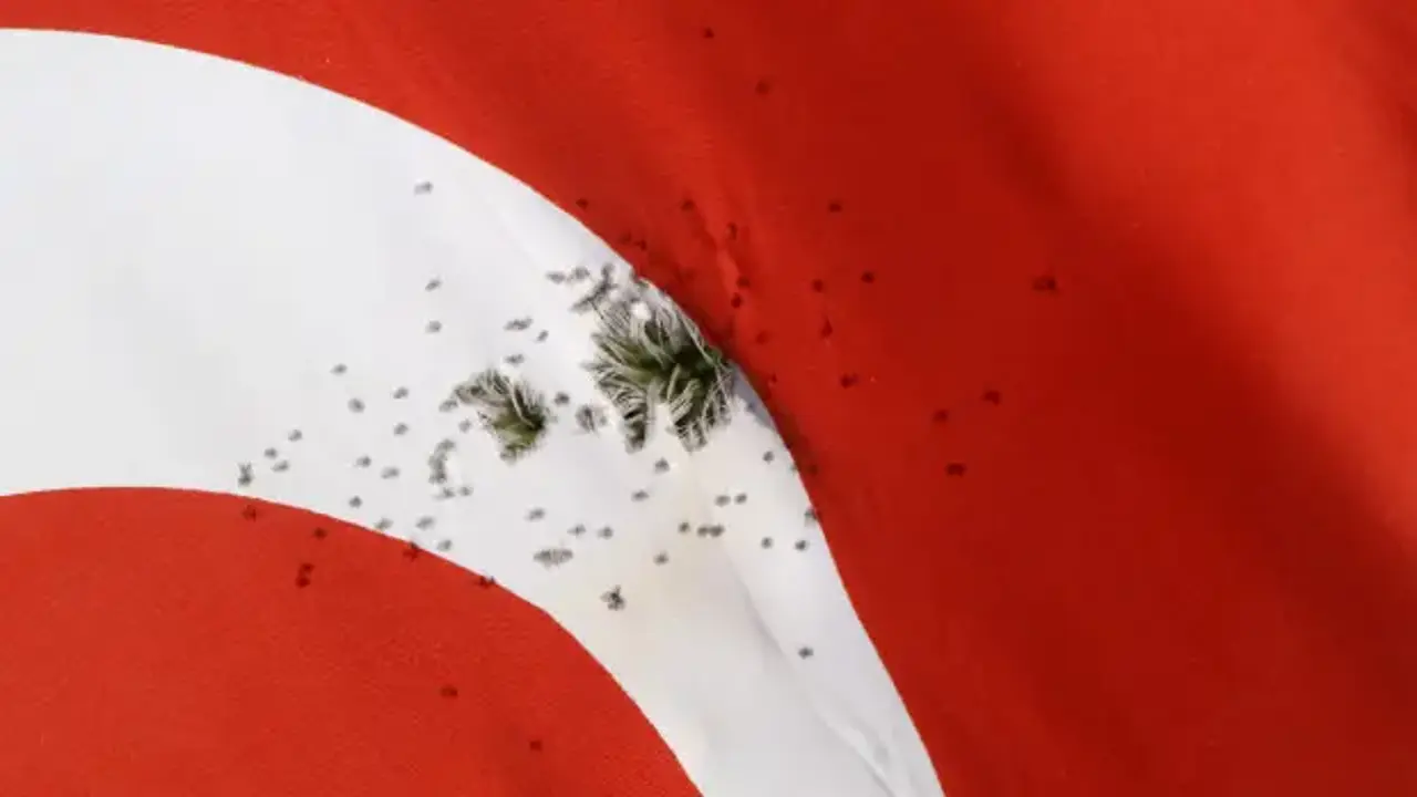 Burdur Bayrak Ateş Valilik Haber (2)