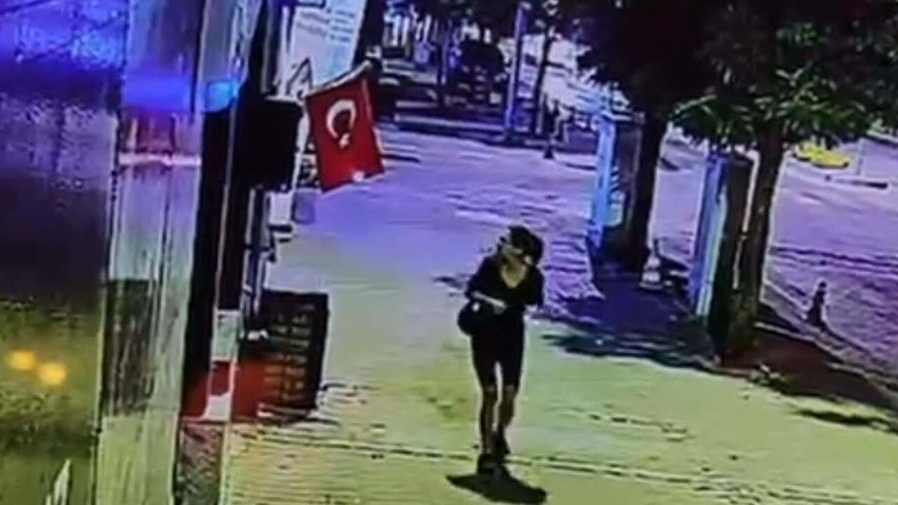 Türk bayrağını ateşe vermişti! Yaptığı yanına kar kalmadı
