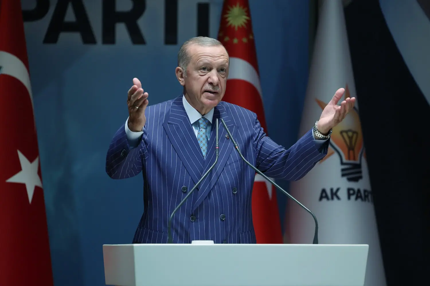 Erdoğan Ak Parti (1)