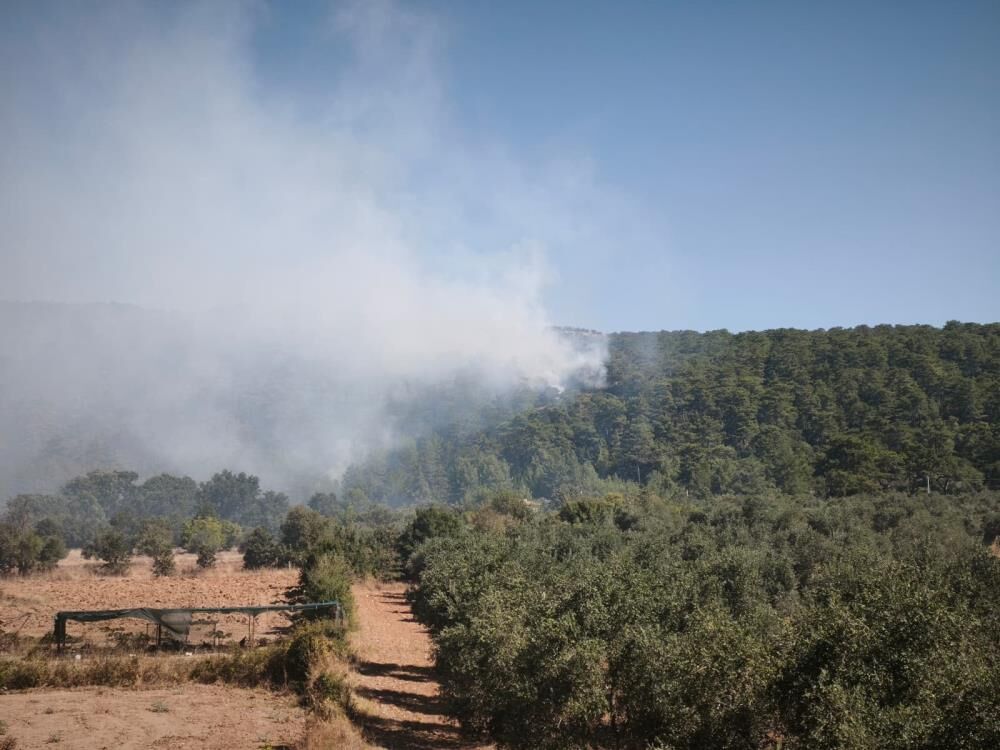 7 Uçak 15 Helikopter Seferber Oldu! Muğla'da Orman Yangını (4)