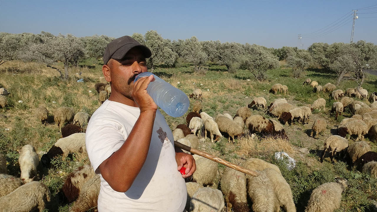Aylık 80 bin TL'ye çalışacak işçi bulamıyor