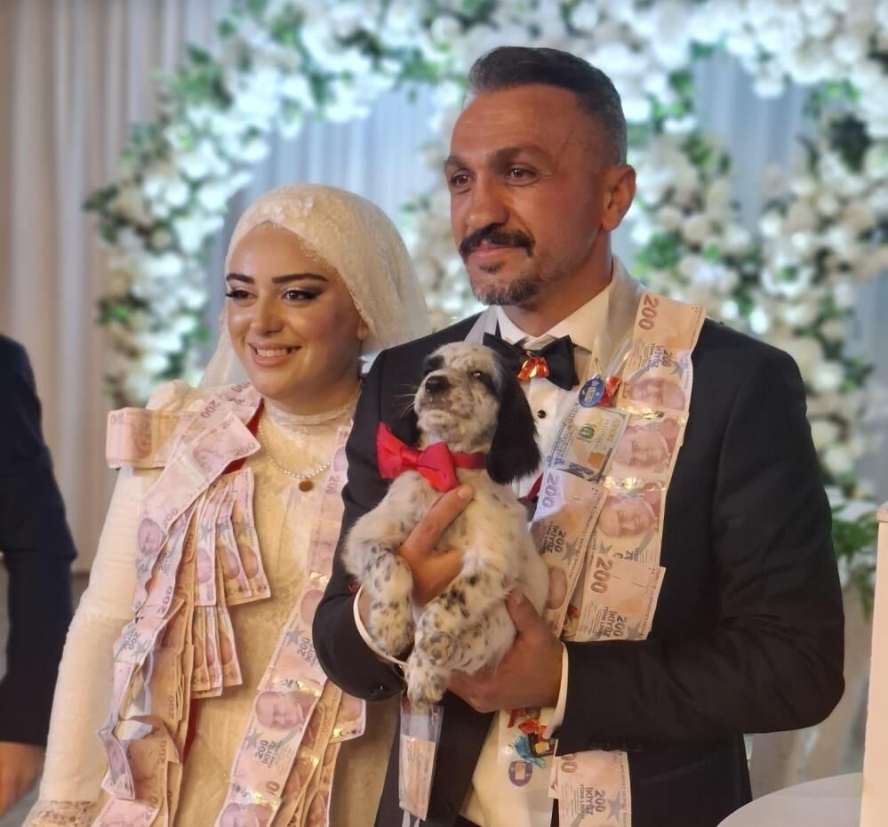 Trabzon Köpek Düğün Av Köpeği Takı Hediye Haber (2)
